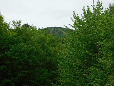 23 Hummingbird Ln, Wilmington, VT 05363 - photo 3