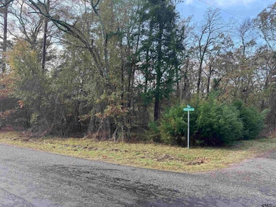 Lot 69 King Lake Dr, Scroggins, TX 75480 - photo 4