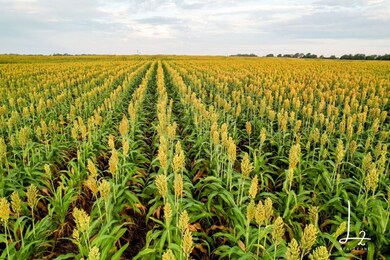 0000 E 40th Ave N Tr1, Belle Plaine, KS 67013 - photo 6