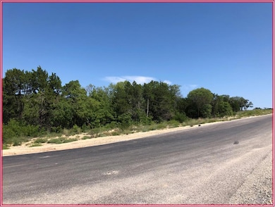 256 Eagles Ridge Ct, Weatherford, TX 76087 - photo 6