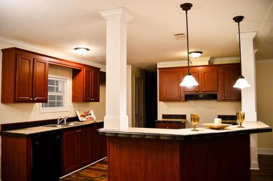 818 Alex Hardwick Rd, Lyons, GA 30436 - photo 4