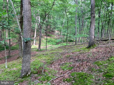 0 Beech Ln unit WVHD106246, Baker, WV 26801 - photo 7