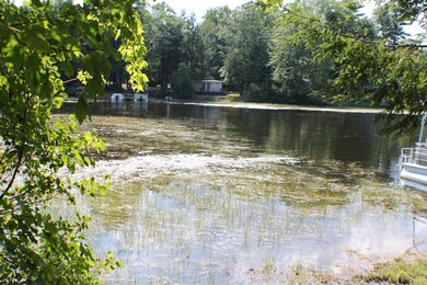 Waterfront 1