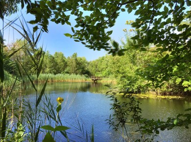 14297 Wildwood Ln, Three Oaks, MI 49128 - photo 5