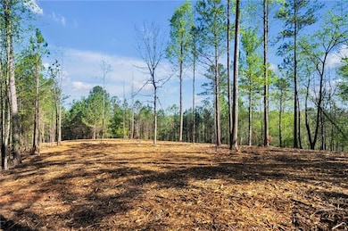 002 Swan Bridge Rd, Talking Rock, GA 30175 - photo 7