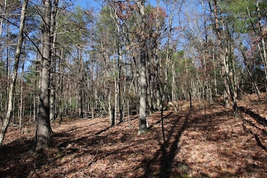 0 Rolly Rd unit LotWP001 23098894, Mount Jackson, VA 22842 - photo 6