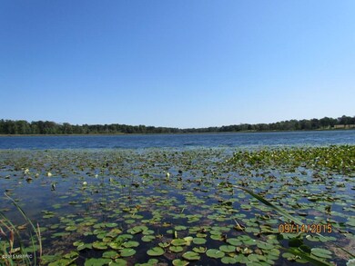 IMG_3201 (Medium)