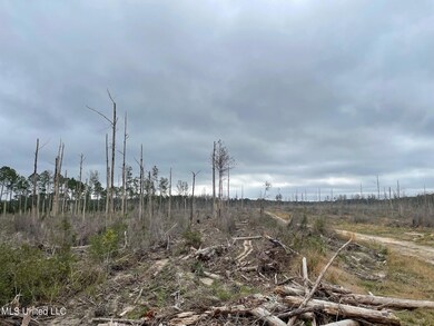 0 Deerwood Rd unit 4077403, Kiln, MS 39556 - photo 5