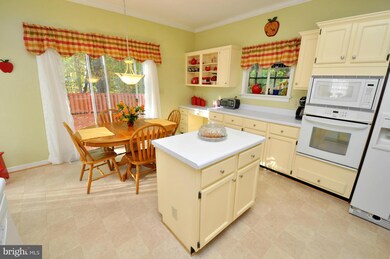 7228 Middleton Dr, Fredericksburg, VA 22407 - photo 2