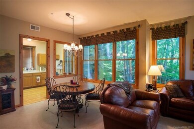 10 Stoney Falls Loop unit 4-201, Burnsville, NC 28714 - photo 7