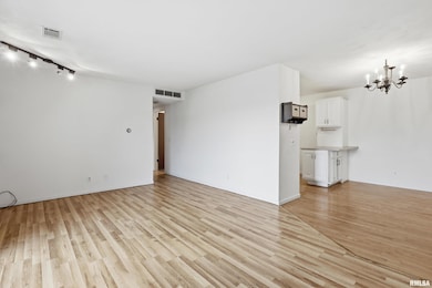 1249 48th Ave unit 18, East Moline, IL 61244 - photo 3