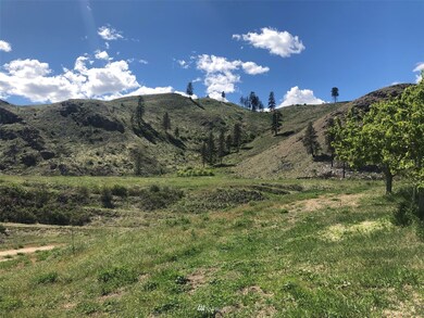 987 B Washington 153 unit Lot 2, Methow, WA 98834 - photo 5