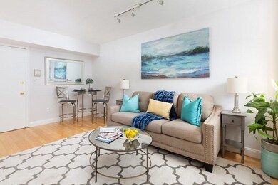 4 Arlington St unit 4, Cambridge, MA 02140 - photo 2