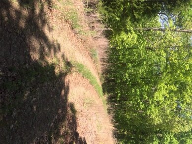 0 Ferry, Winslow, AR 72959 - photo 4