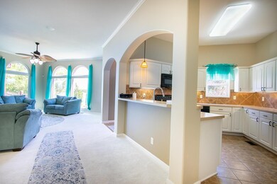 Architectual Arches Throughout
