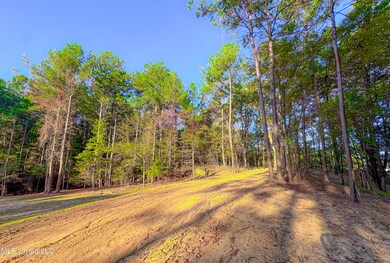 0 Mount Leopard Rd, Flora, MS 39071 - photo 4