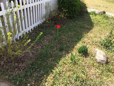 First tulip of the season.
