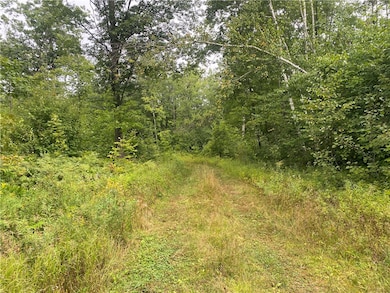 ON W Zettel Rd, Exeland, WI 54835 - photo 3