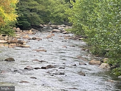 0 Abrams Creek - Oakmont Wv unit WVMI2000826, Elk Garden, WV 26717 - photo 4