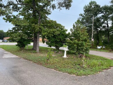 14921 Druid St, Conroe, TX 77302 - photo 5