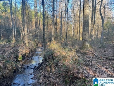 0 Lambert Rd unit 56 Ac 21376944, Cragford, AL 36255 - photo 4