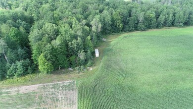 130 N Hale Rd, Twining, MI 48766 - photo 6