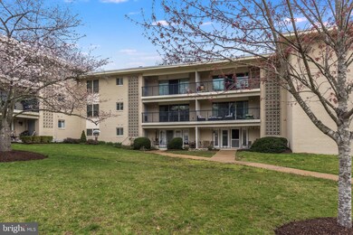 1002 Primrose Rd, Annapolis, MD 21403 - photo 5