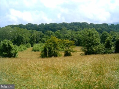 0 Lower River Rd, Toms Brook, VA 22660 - photo 2