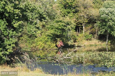 1400 Old Telegraph Rd, Warwick, MD 21912 - photo 5