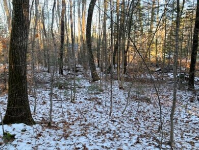 61 Kimball Lake Shores Rd, Fryeburg, ME 04037 - photo 7