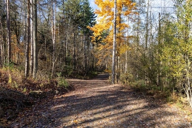 9881+9937 Larkin Rd, Eden, NY 14057 - photo 7