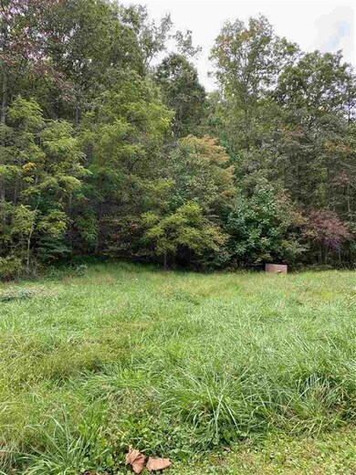 0 Hollow Run Rd, Luray, VA 22835 - photo 6