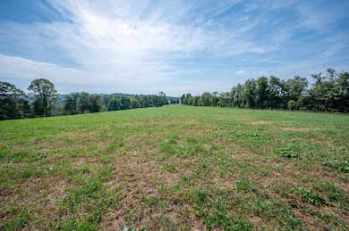 0 Pinnacle Ln, Meadows of Dan, VA 24120 - photo 2