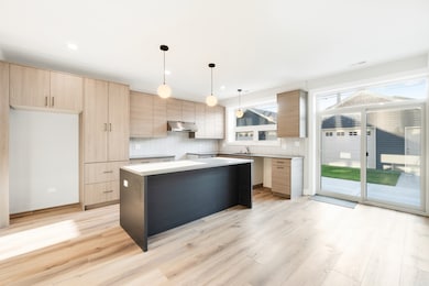 4167 S Halsted St, Chicago, IL 60609 - photo 7