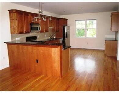 117 Florence St unit 1, Chestnut Hill, MA 02467 - photo 3