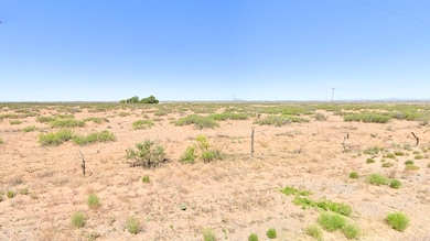 Deming unit NM USA, Deming, NM 88030 - photo 6