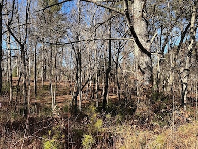 Lot 14 Fairview Way, Blue Ridge, GA 30560 - photo 3