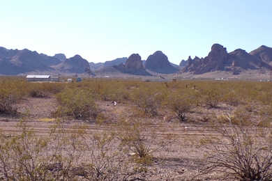 3192 S Amethyst Rd, Golden Valley, AZ 86413 - photo 3