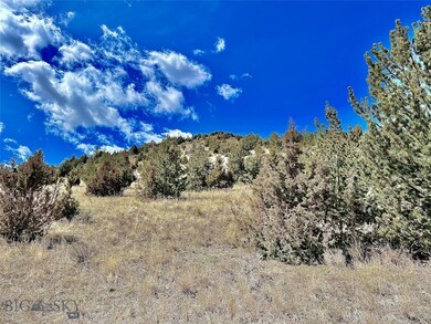 5 Needle Pines & Junipers