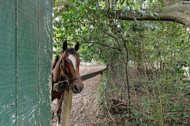 2224 Carter St unit Tract C, Camden, SC 29020 - photo 4