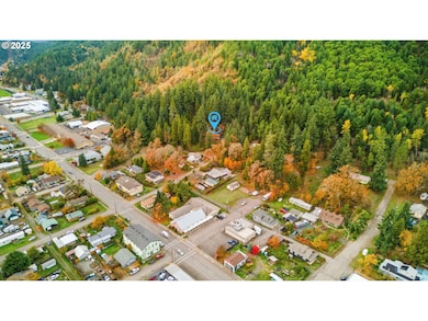 48117 E 2nd St, Oakridge, OR 97463 - photo 7