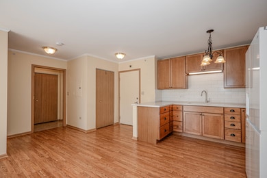 The Greens of Elgin unit 320, Elgin, IL 60123 - photo 7
