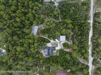 17155 Dalberg Dr, Shady Hills, FL 34610 - photo 6