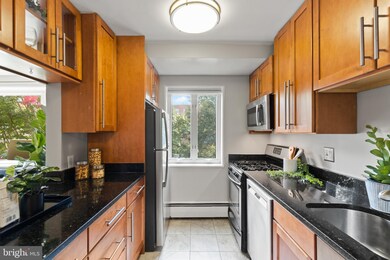 111 Lee Ave unit 109, Takoma Park, MD 20912 - photo 6