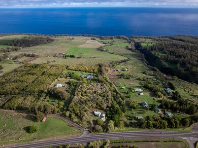 44-2248 Hawai?i Belt Rd, Honokaa, HI 96727 - photo 4