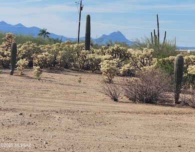 Mars Rd, Picture Rocks, Deana Means_1d