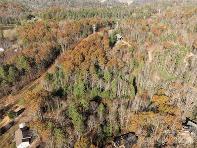 99999 Big Raven Ln, Saluda, NC 28773 - photo 3