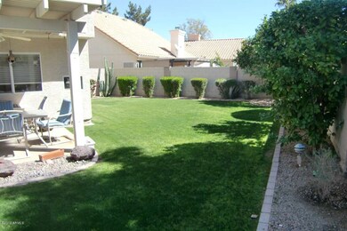 Backyard1