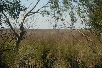 415 Mimosa Dr, St. Simons Island, GA 31522 - photo 2