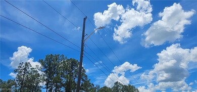 Utility pole at front of property